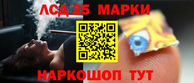 2c-b Кингисепп