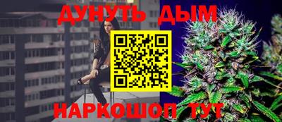 2c-b Кингисепп