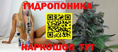2c-b Кингисепп