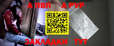 2c-b Кингисепп