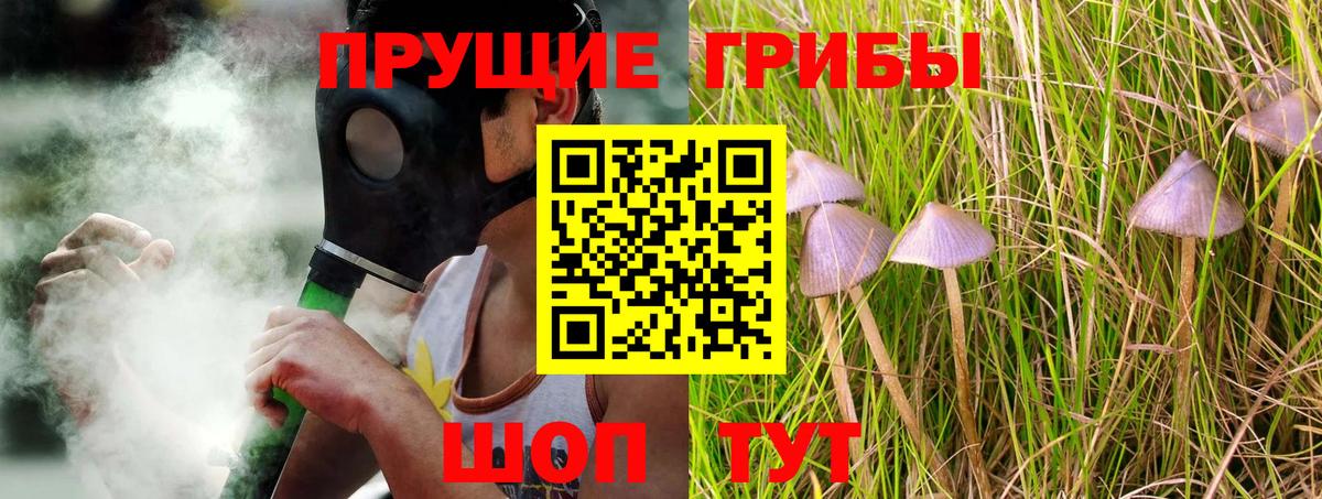 Иркутск  Псилоцибиновые грибы Cubensis  Вход с VPN  магазин    Галлюциногенные грибы Magic Shrooms 